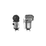Catalytic Converter & DPF for Volvo S80 2.0 – BM11511H